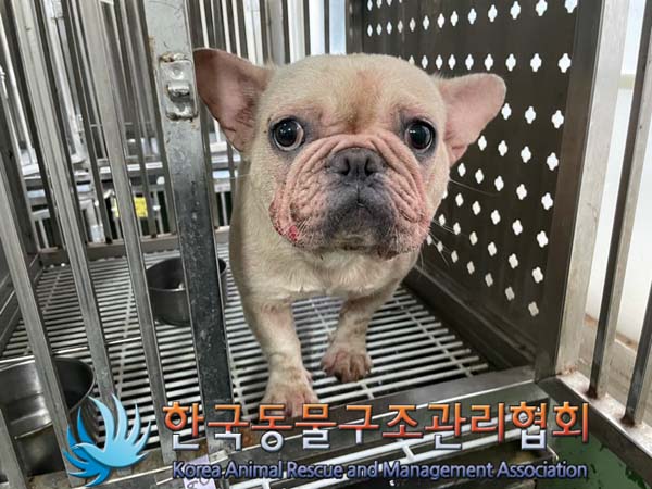 한국동물구조관리협회_411318202400276