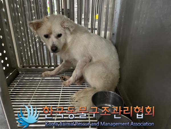 한국동물구조관리협회_441560202401084