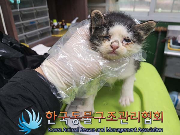 종료(자연사) 한국…