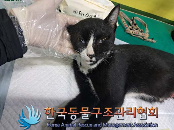 한국동물구조관리협회_441560202401091
