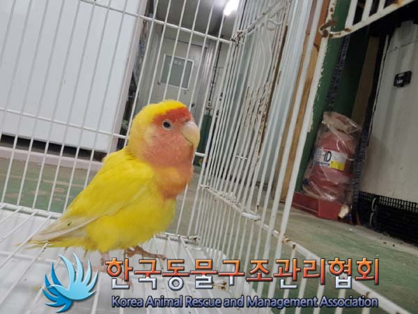 한국동물구조관리협회_441560202401083