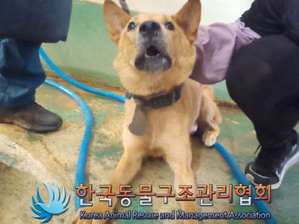 한국동물구조관리협회_411316202400469