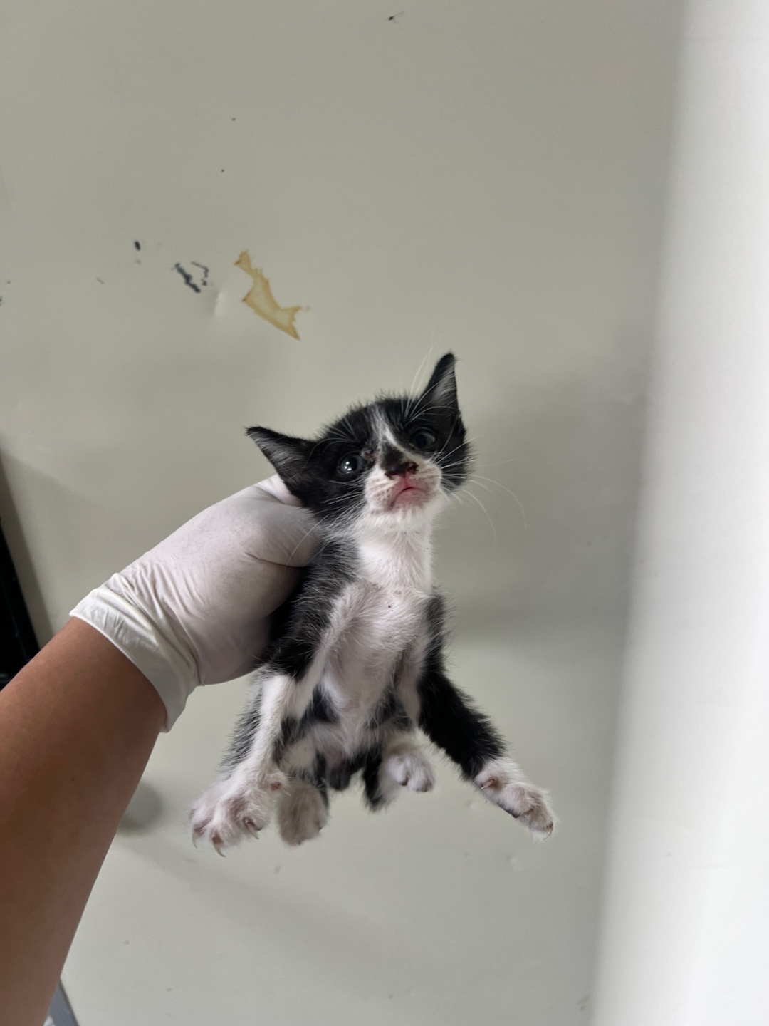 부산동물보호센터_426328202400308