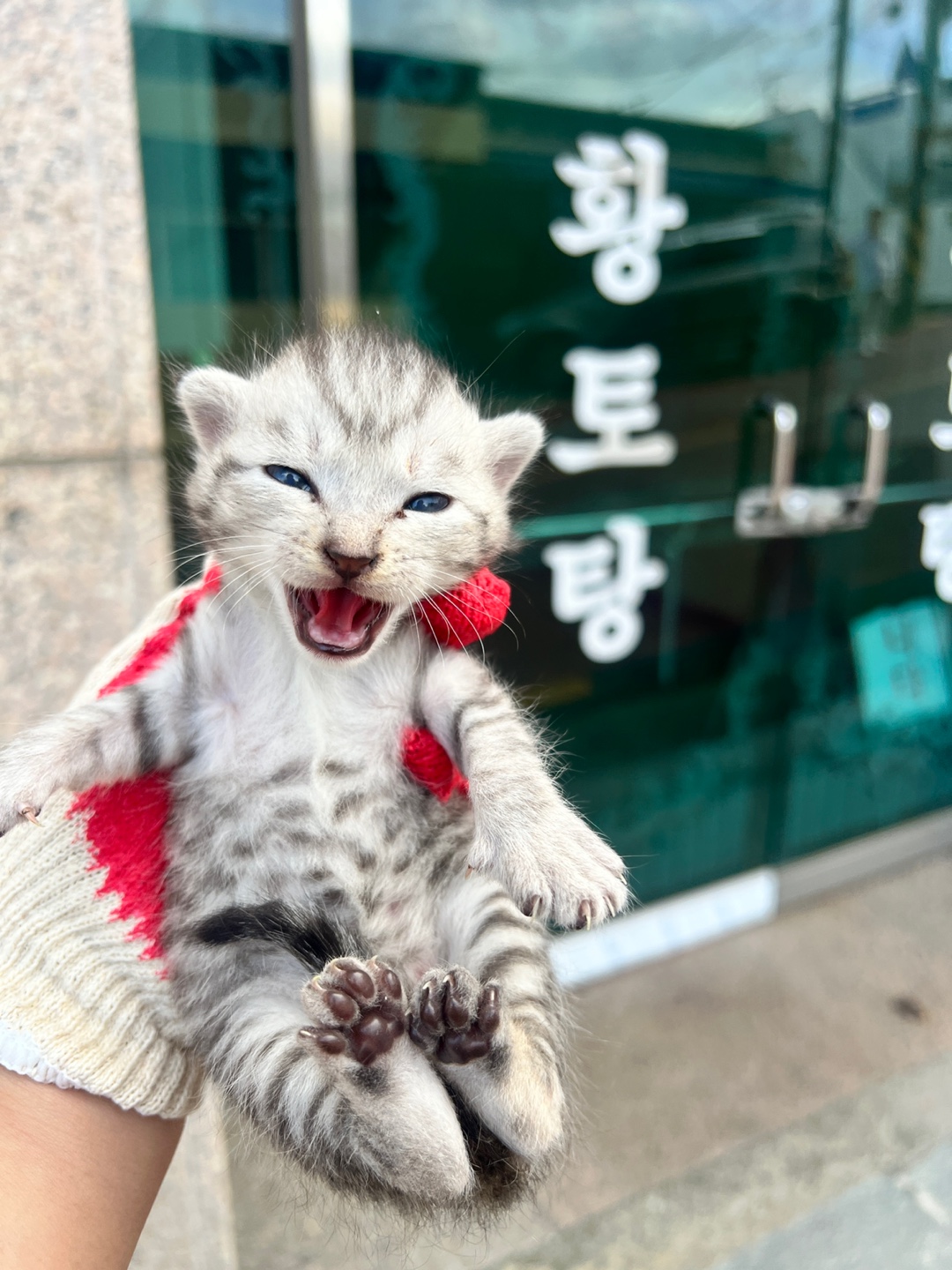 부산동물보호센터_426328202400312