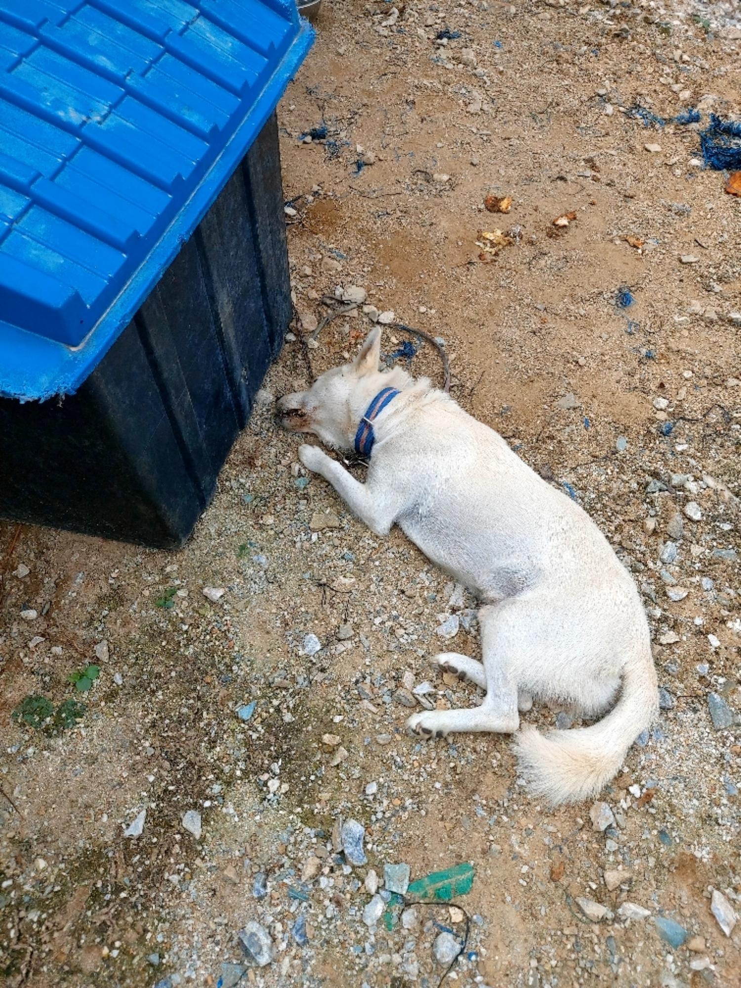 제일동물병원_444455202400544