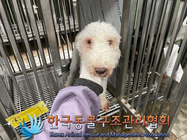 한국동물구조관리협회_411307202400444