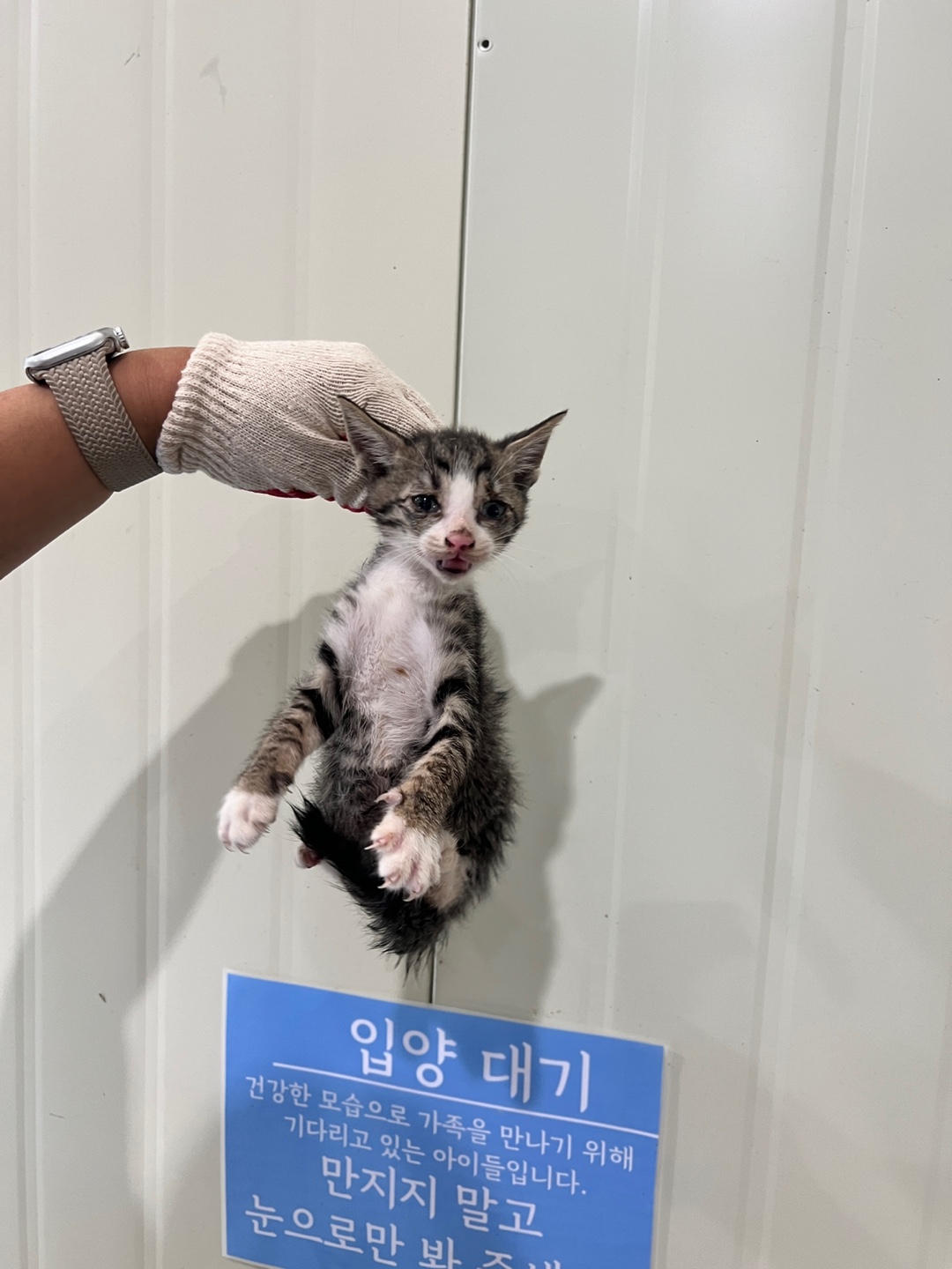부산동물보호센터_426332202400487