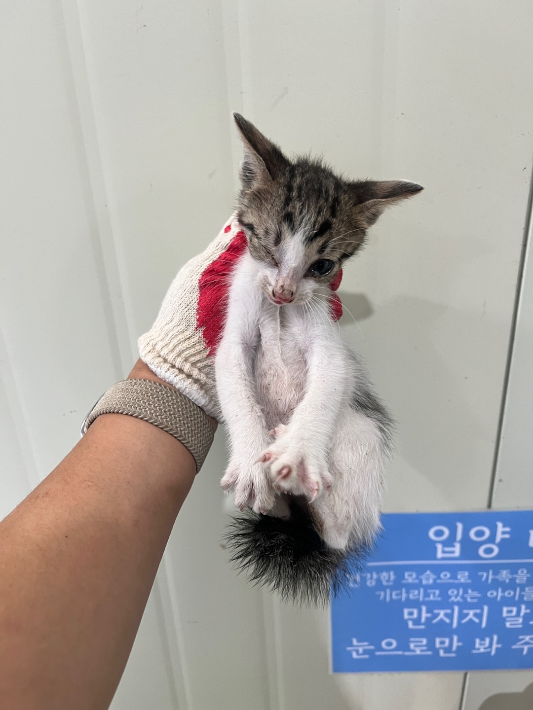 부산동물보호센터_426332202400486