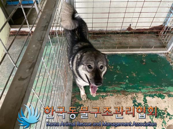 종료(반환) 시베리…