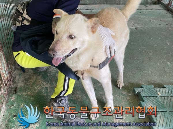 한국동물구조관리협회_441406202401444