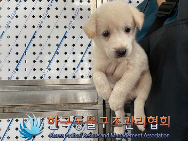 한국동물구조관리협회_441560202401099