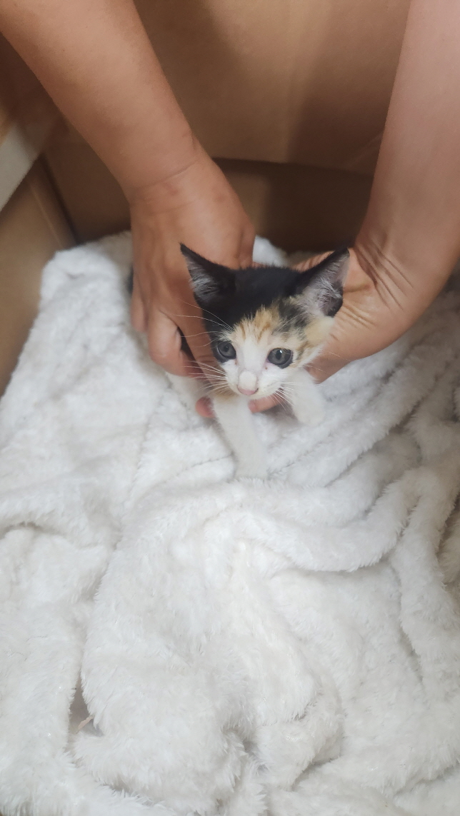 익산유기동물보호소_445468202402310