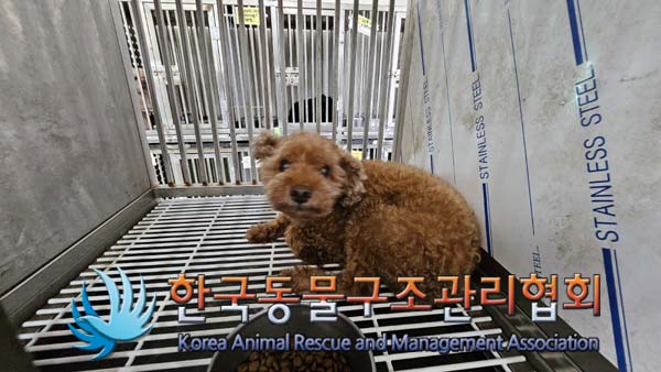 한국동물구조관리협회_411317202400292