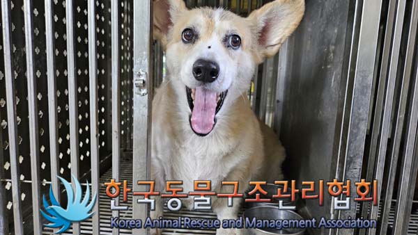 한국동물구조관리협회_441414202400696