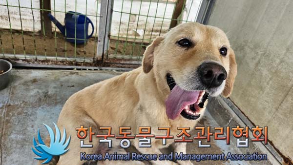 한국동물구조관리협회_441406202401445