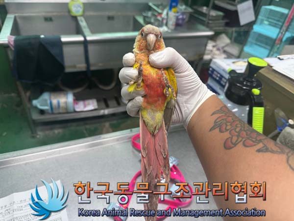 한국동물구조관리협회_411310202400635