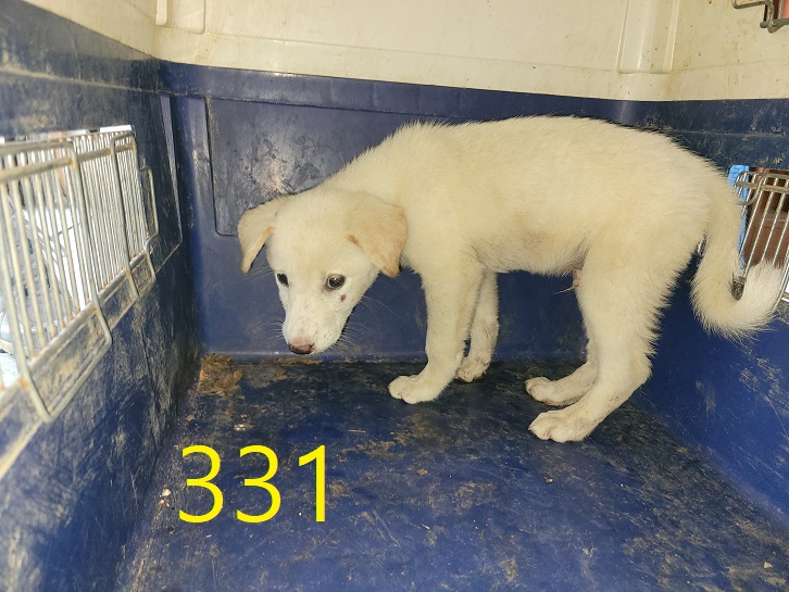신영재동물병원_428355202400566