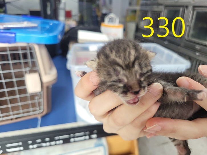 신영재동물병원_428355202400565