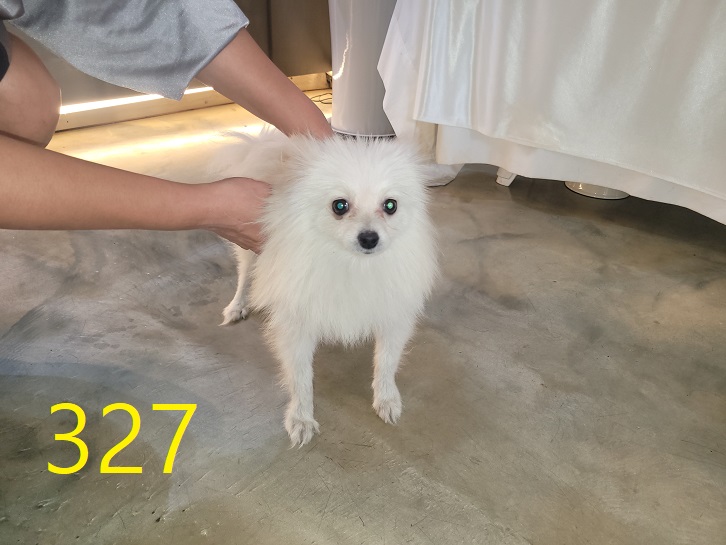 신영재동물병원_428355202400562