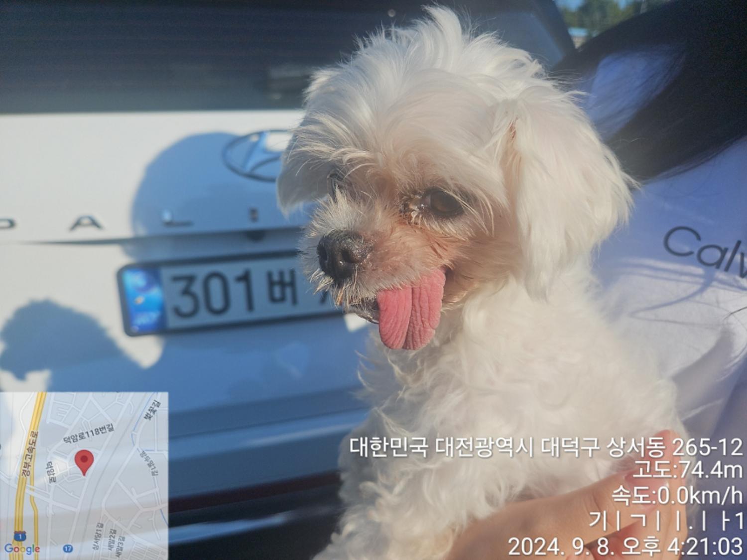 대전동물보호센터_430368202400386