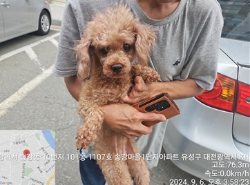 보호중 푸들의 가족…