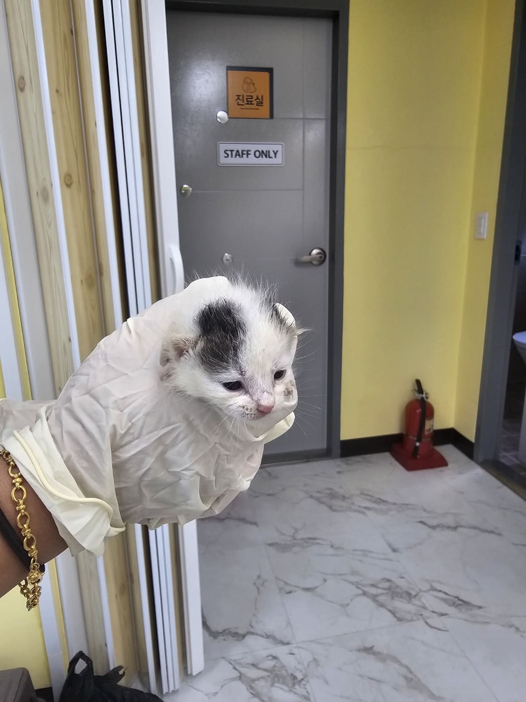 삼척시동물보호센터_442424202400508