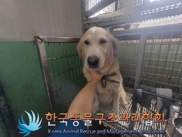 한국동물구조관리협회_441414202400710