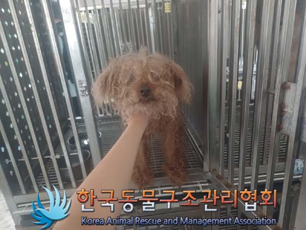 한국동물구조관리협회_411315202400439