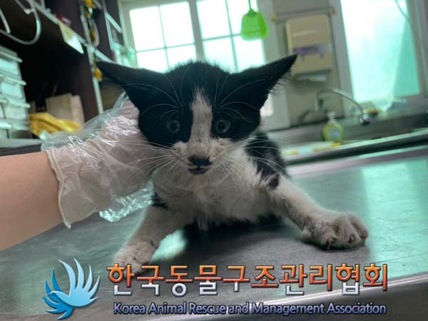 종료(자연사) 한국…