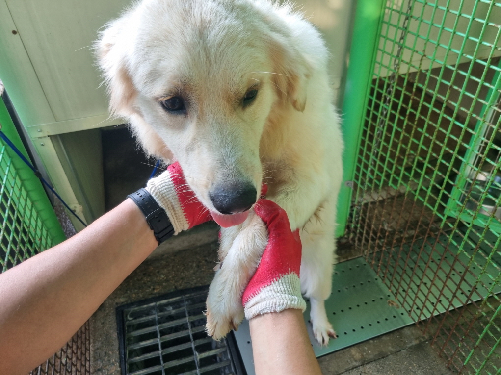 양산시 동물보호센터_448538202400543
