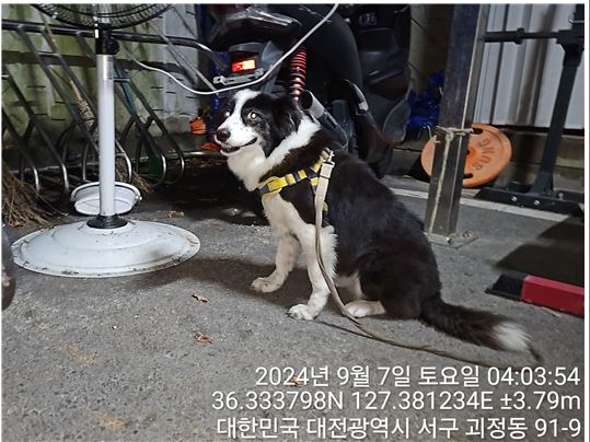 종료(반환) 보더 …