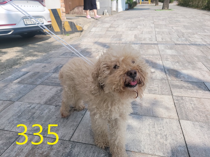 신영재동물병원_428355202400589