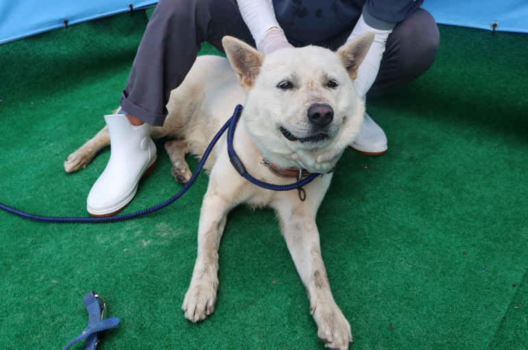 제주 동물보호센터_450650202402636