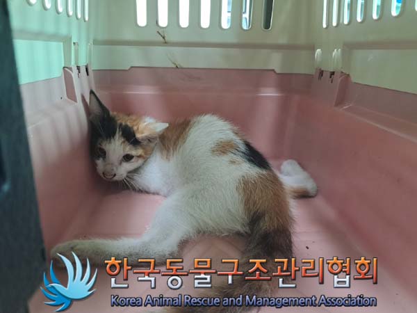 종료(자연사) 한국…
