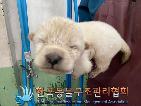 종료(자연사) 믹스…