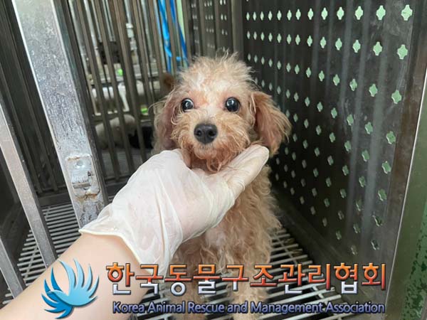 한국동물구조관리협회_441406202401454