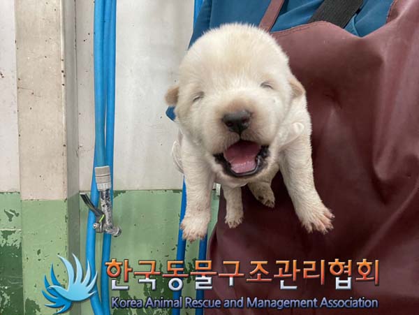한국동물구조관리협회_411307202400450