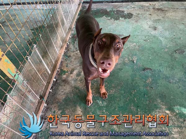 한국동물구조관리협회_441414202400716