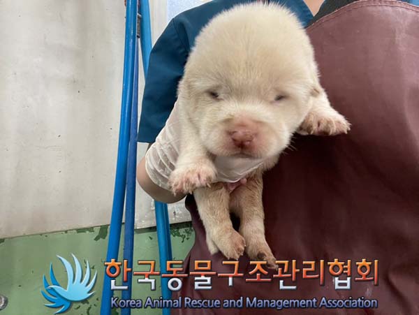 한국동물구조관리협회_411307202400452