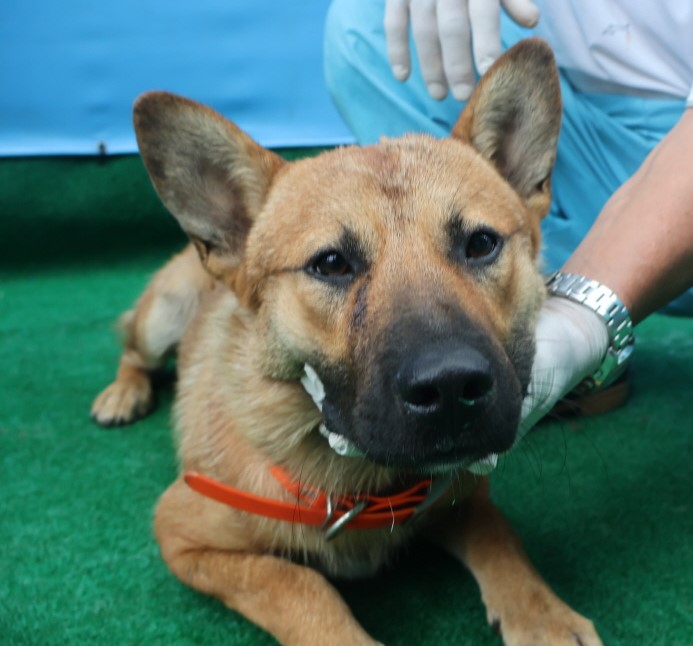 제주 동물보호센터_450650202402643