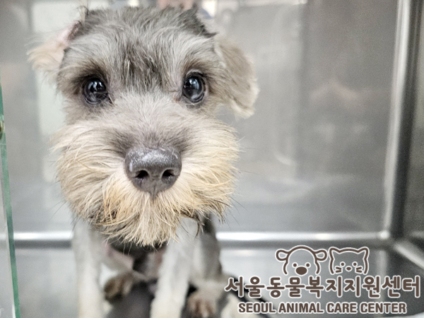 한국동물구조관리협회_411308202400651