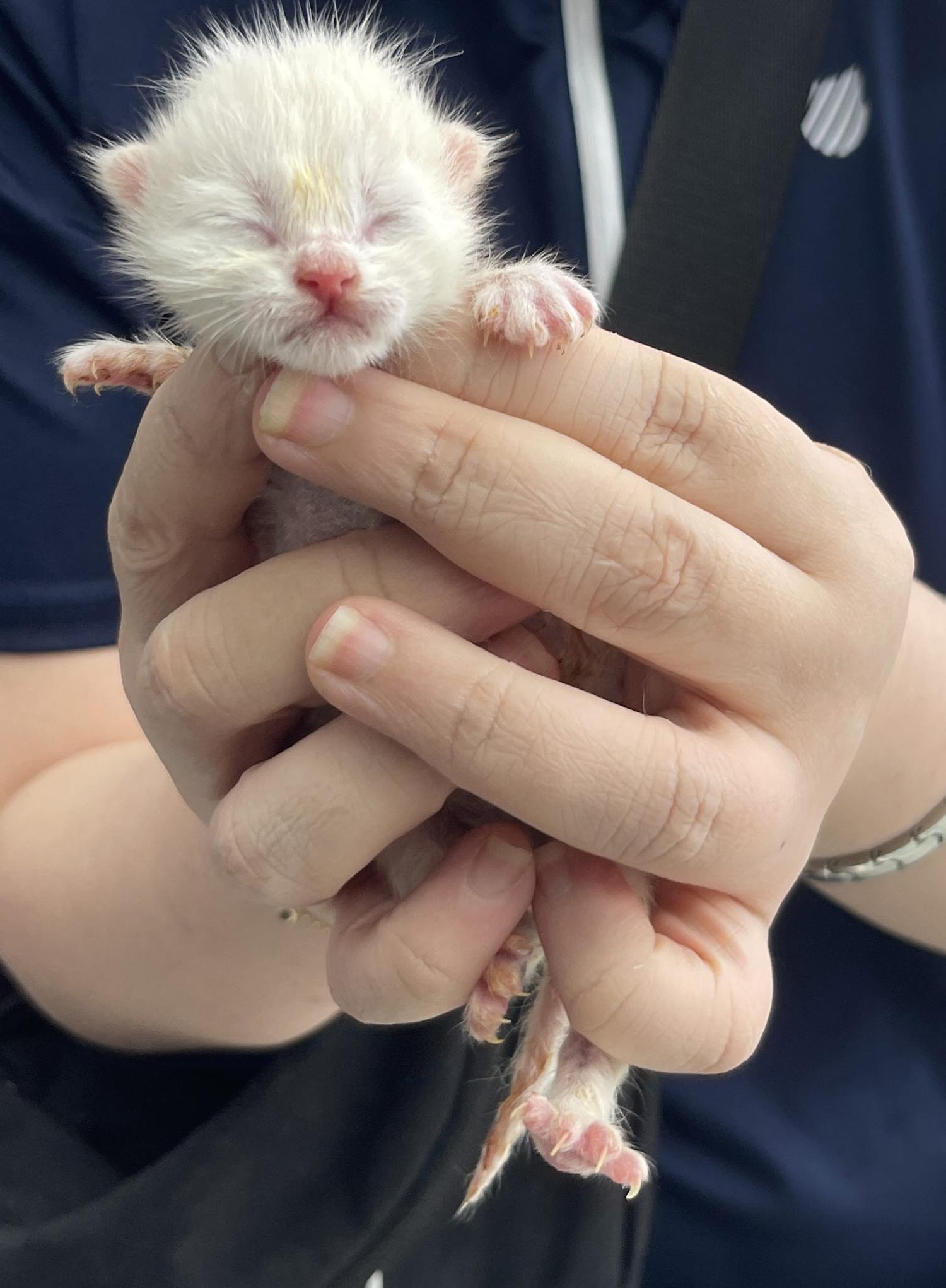 베스트동물병원_428357202401178