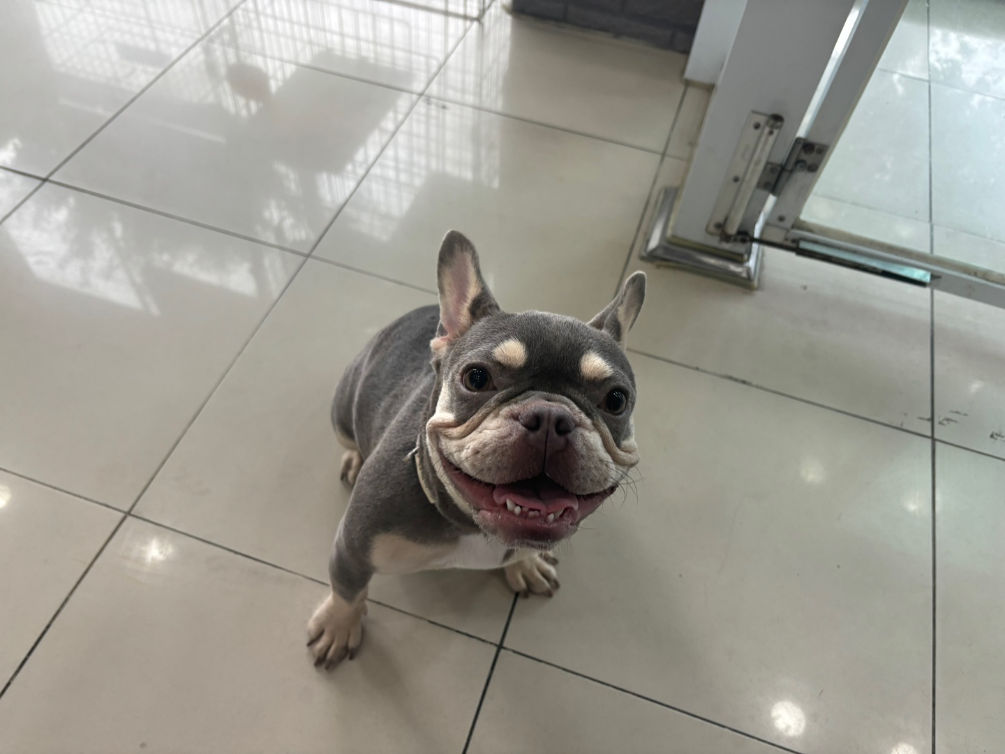 가정동물병원_428356202401531