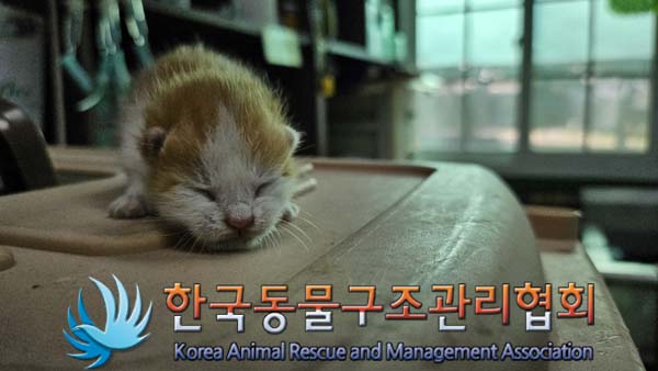 한국동물구조관리협회_441414202400722