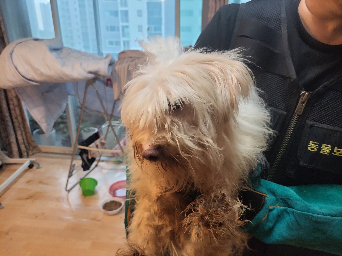 고양시동물보호센터_441394202401806