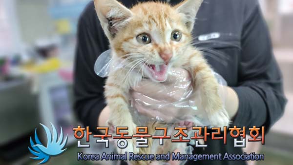 한국동물구조관리협회_411309202400260