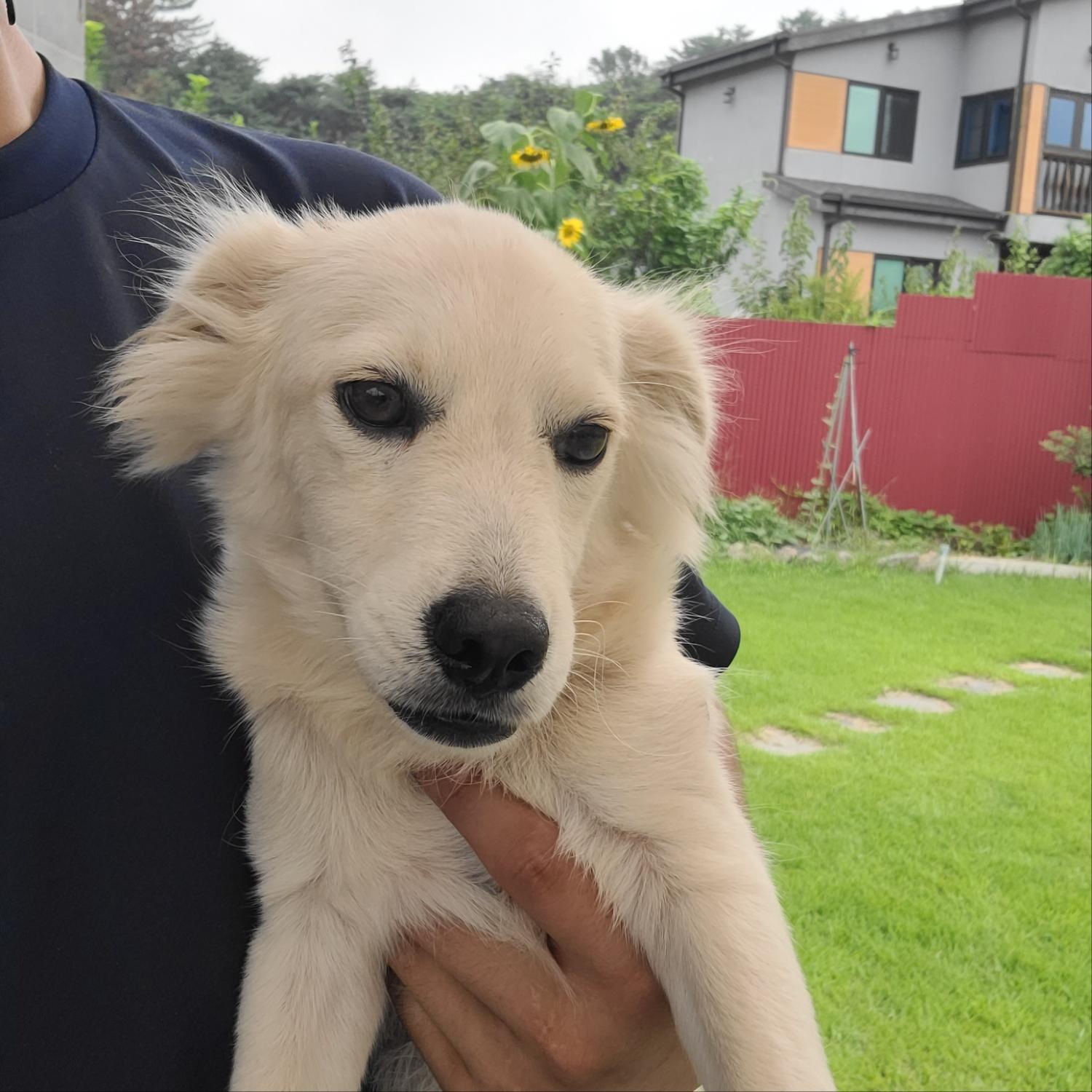경주동물사랑보호센터_447505202401052