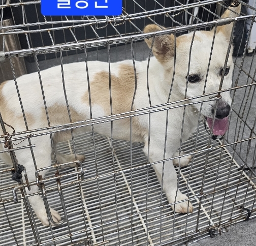 베스트동물병원_428357202401184