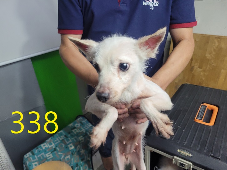 신영재동물병원_428355202400593