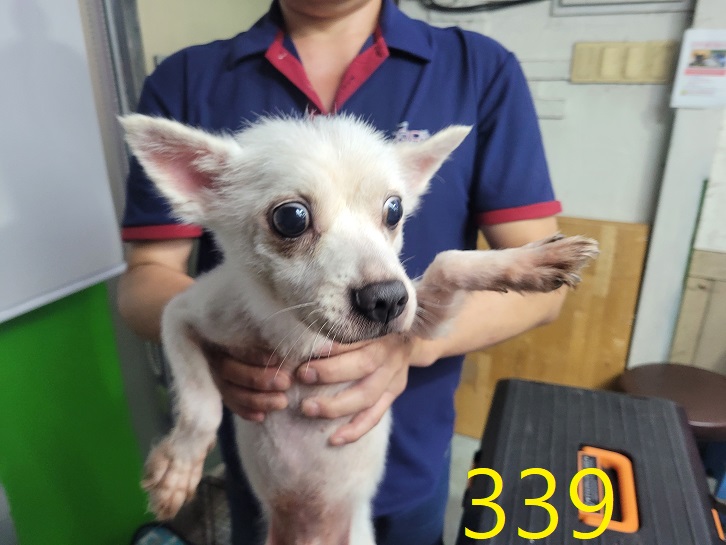 신영재동물병원_428355202400594